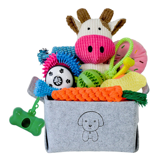 20Pcs Puppy Chew Toys for Teething, Dog Chew Toys with Rope Toys, Pet Dog Toothbrush, Treat Balls, Dog Plush Toys and Squeaky Toys for Small Medium Dogs, Cute Dog Toy with Basket