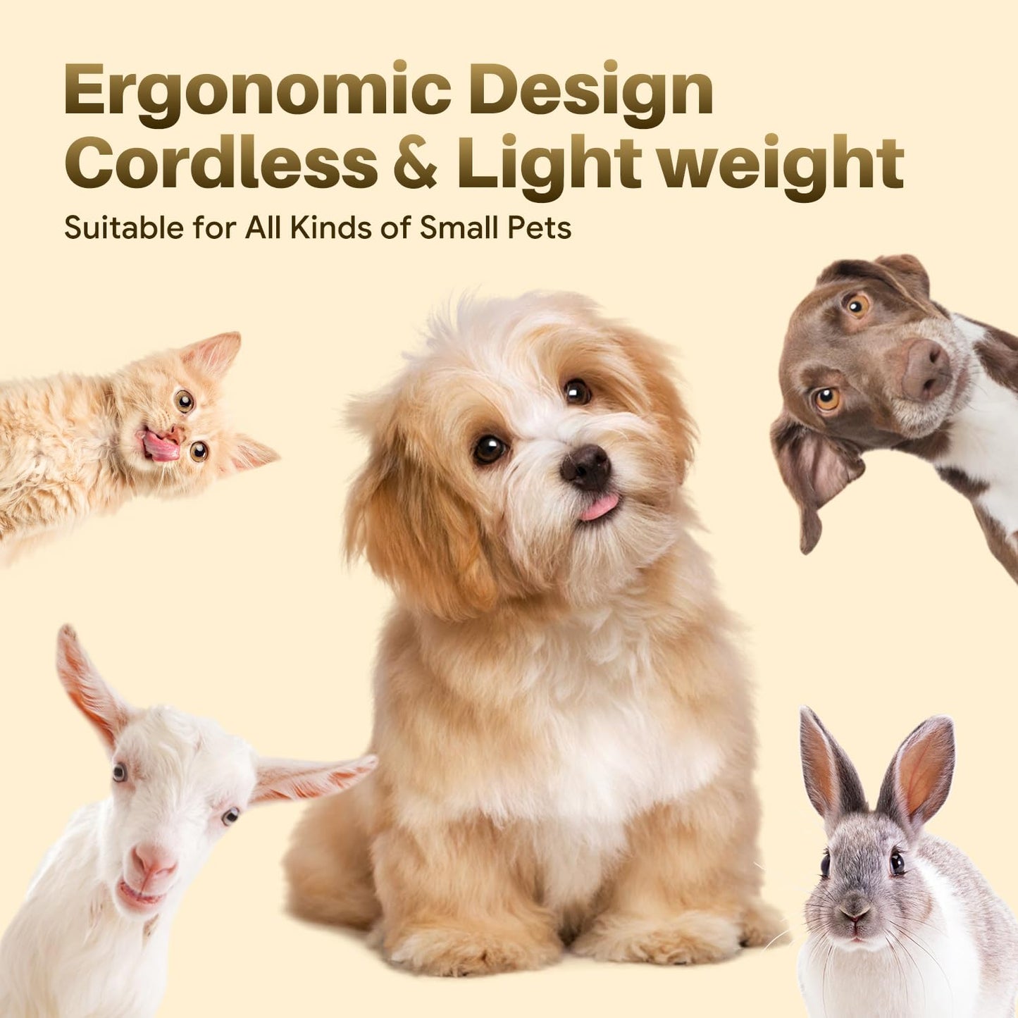 Small Dog Grooming Kit, 4 in 1 Electric Cordless Dog Paw Trimmer with Nail Grinder, Low Noise Dog Nail Trimmers, IPX7 Waterproof Small Dog Grooming Clippers for Paws, Ears, Face, Hip Hairl