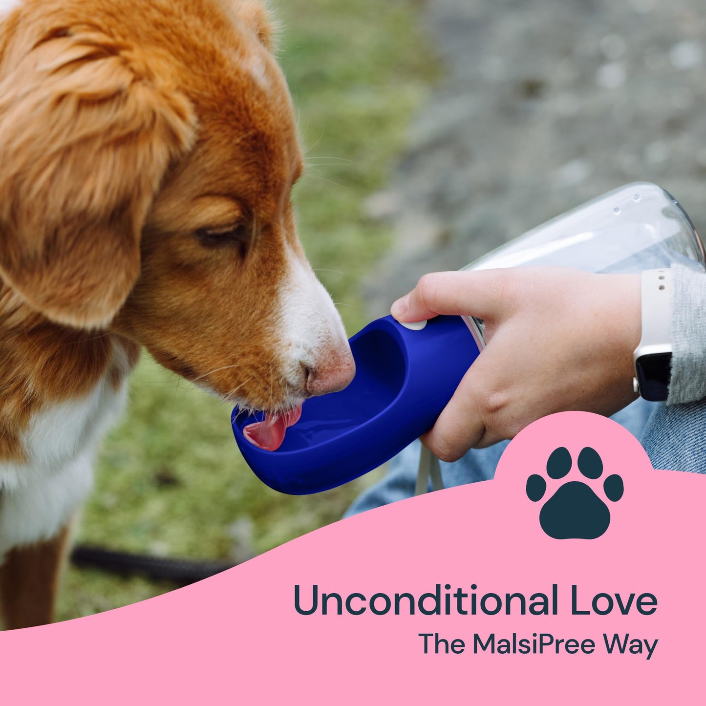 MalsiPree Dog Water Bottle Portable – Leak Proof and Lightweight Water Bottle for Dogs – Dog Travel Water Bottle with Bowl – Dog Walking Accessories (12OZ, Blue)