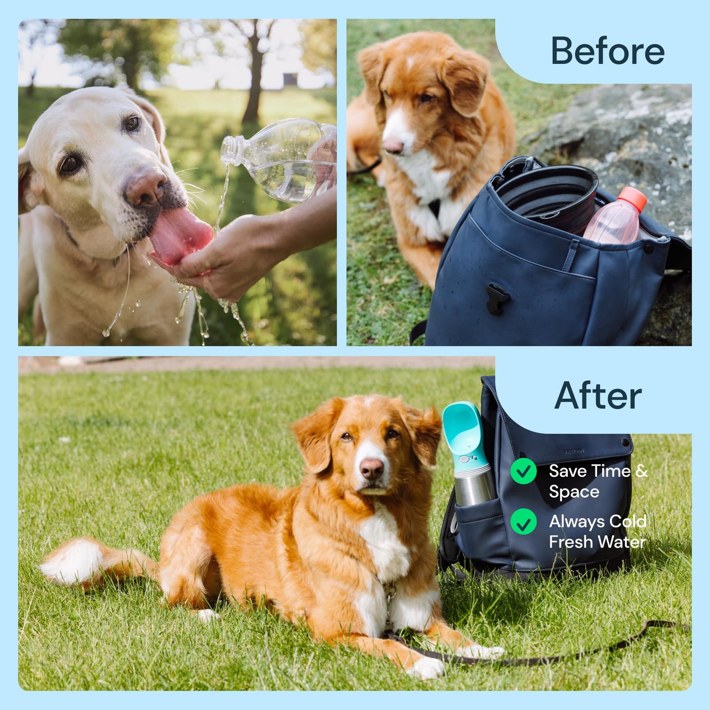 MalsiPree Dog Water Bottle Portable – Leak Proof and Lightweight Water Bottle for Dogs – Dog Travel Water Bottle with Bowl – Dog Walking Accessories (12OZ, Blue)
