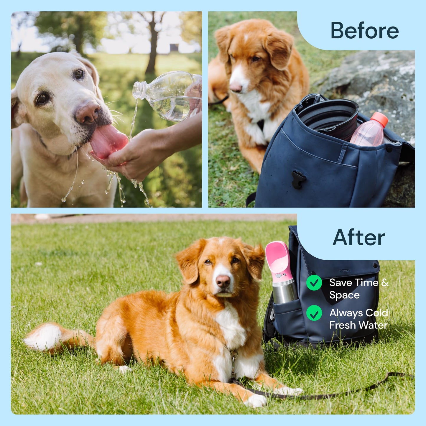 MalsiPree Dog Water Bottle Portable – Leak Proof and Lightweight Water Bottle for Dogs – Dog Travel Water Bottle with Bowl – Dog Walking Accessories (12OZ, Blue)
